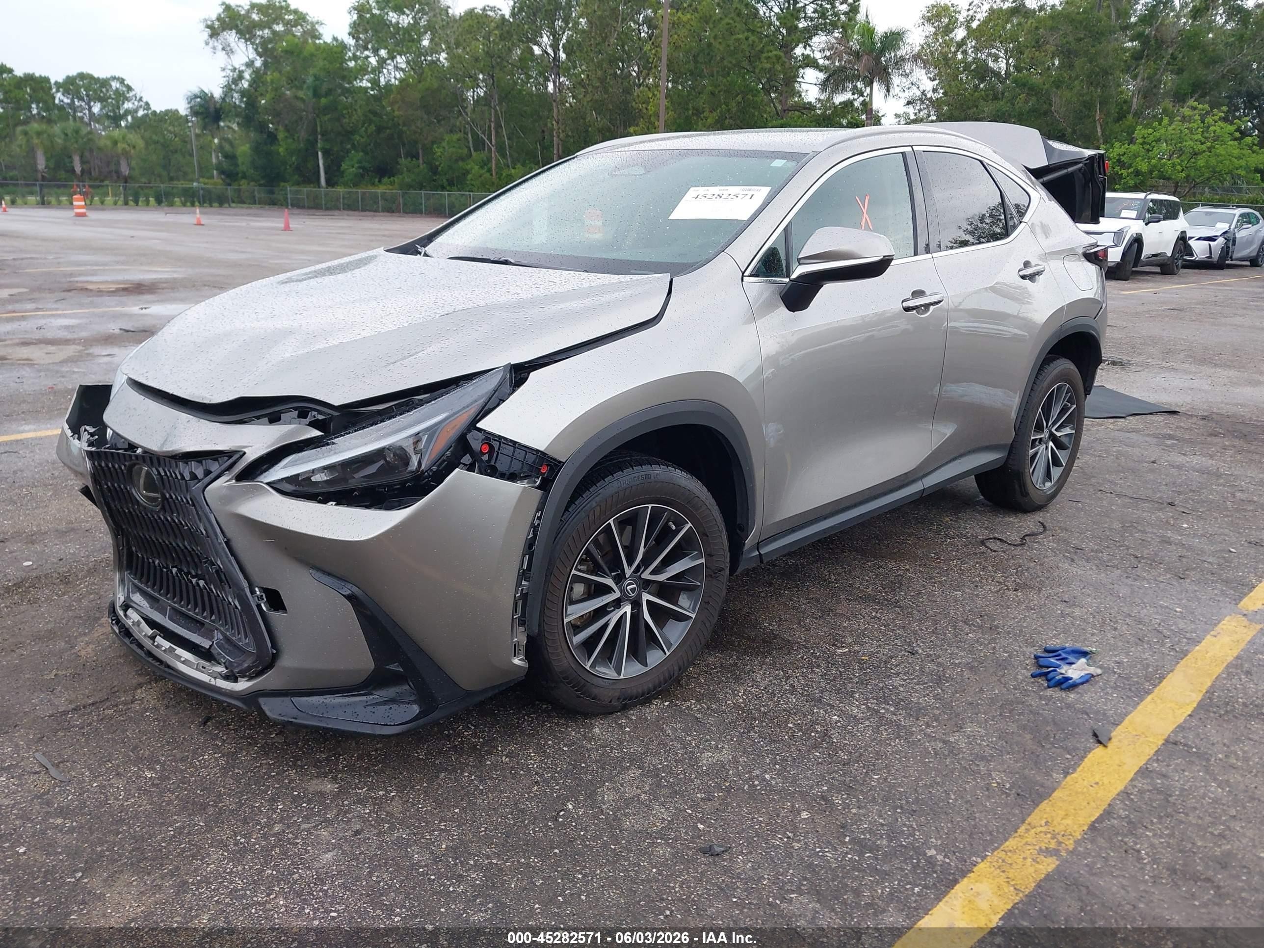 2023 Lexus Nx 250 Silver vin: 2T2ADCAZ4PC004748