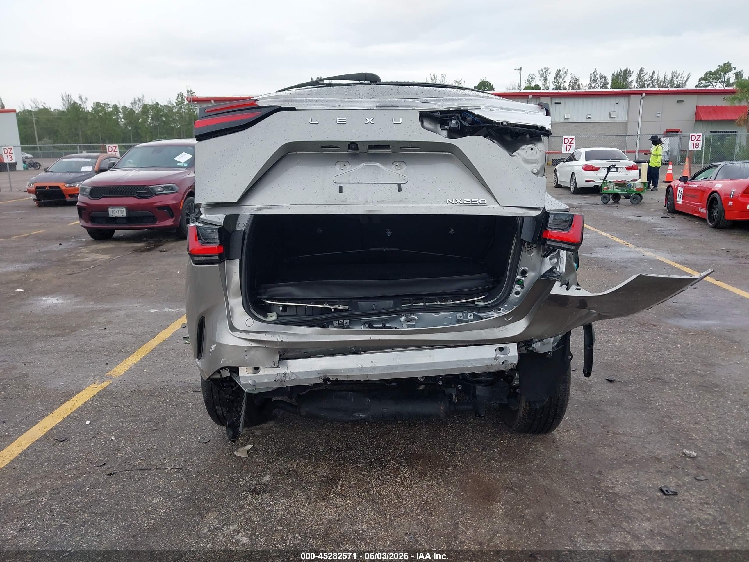 2023 Lexus Nx 250 Silver vin: 2T2ADCAZ4PC004748