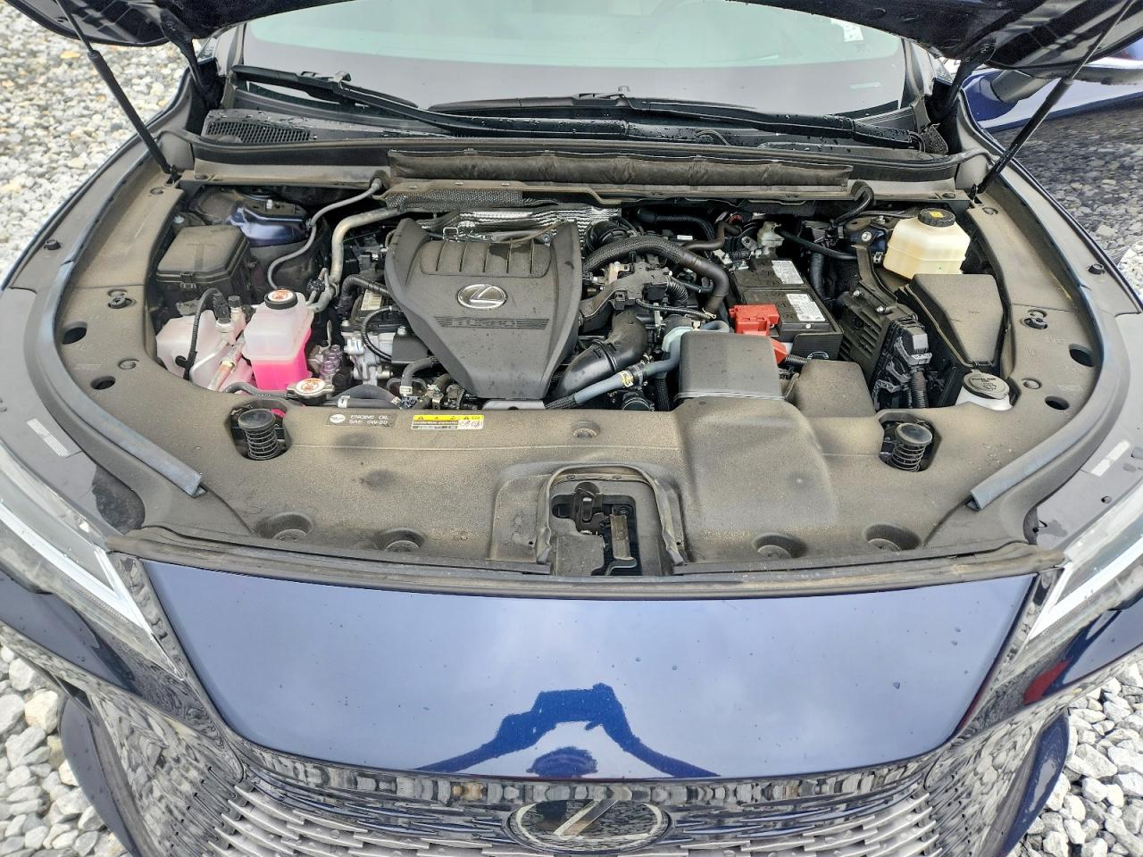 2025 Lexus Rx 350 Premium+ Blue vin: 2T2BAMBAXSC064120