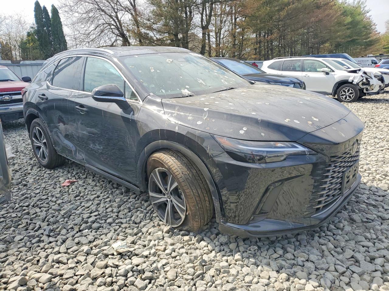 2025 Lexus Rx 350 Base Gray vin: 2T2BAMCA1SC112621