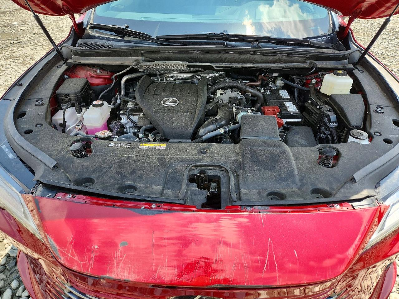 2024 Lexus Rx 350 Luxury Red vin: 2T2BAMCA4RC069760