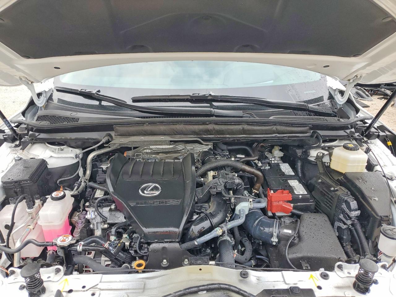 2024 Lexus Rx 350 Base White vin: 2T2BAMCAXRC075353