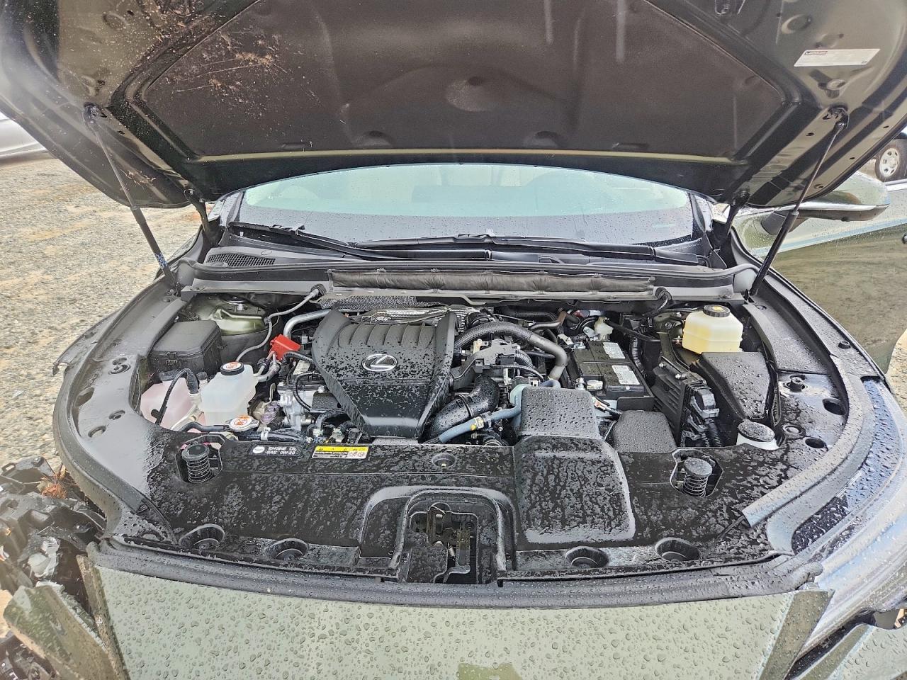 2026 Lexus Rx 350 Luxury Green vin: 2T2BAMCAXTC138961