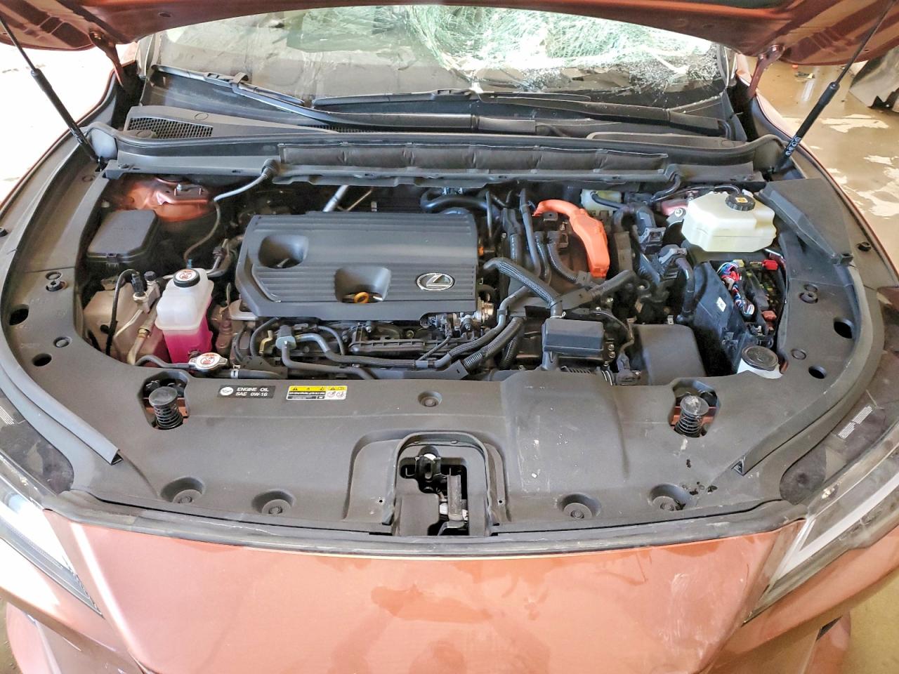 2025 Lexus Rx 350h Premium+ Brown vin: 2T2BBMCA0SC082167