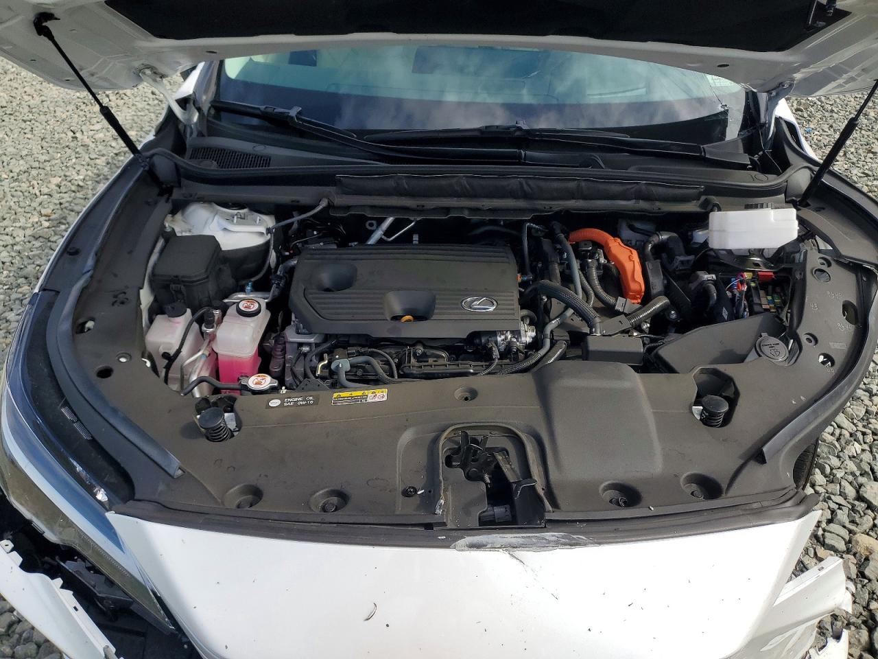 2024 Lexus Rx 350h Premium+ White vin: 2T2BBMCA5RC032861