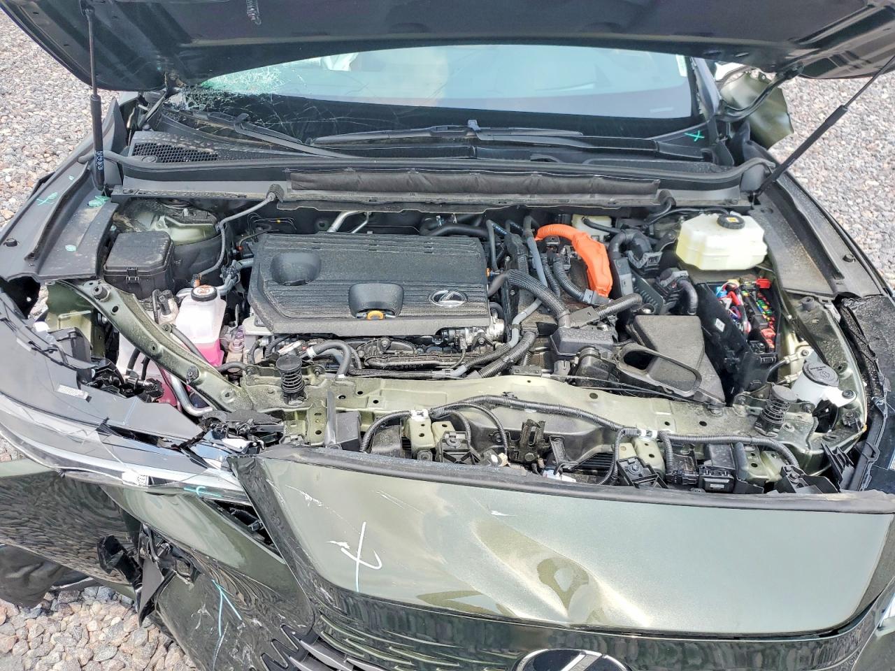 2026 Lexus Rx 350h Premium+ Green vin: 2T2BBMCA9TC120528