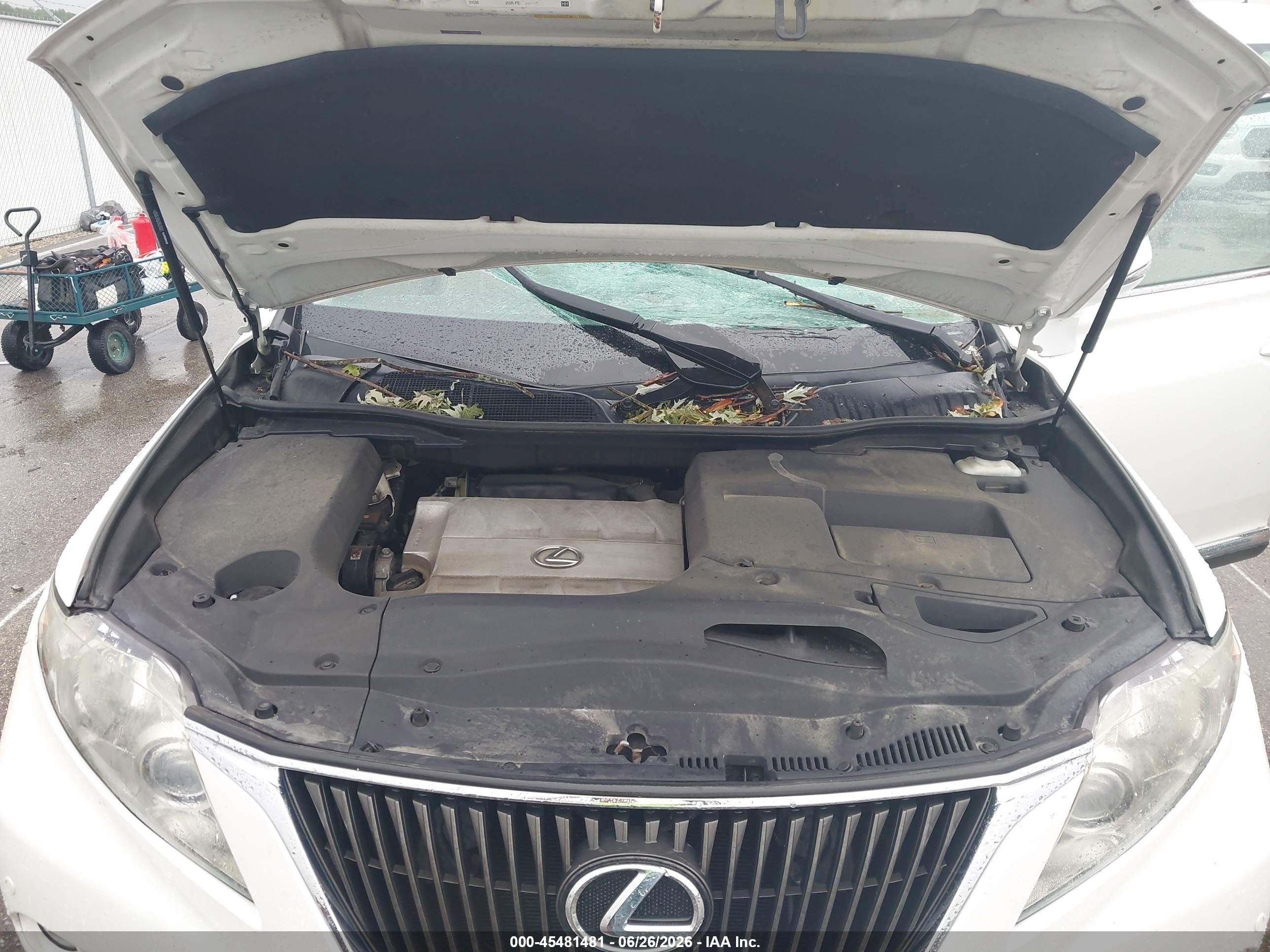 2012 Lexus Rx 350   White vin: 2T2BK1BA0CC126010