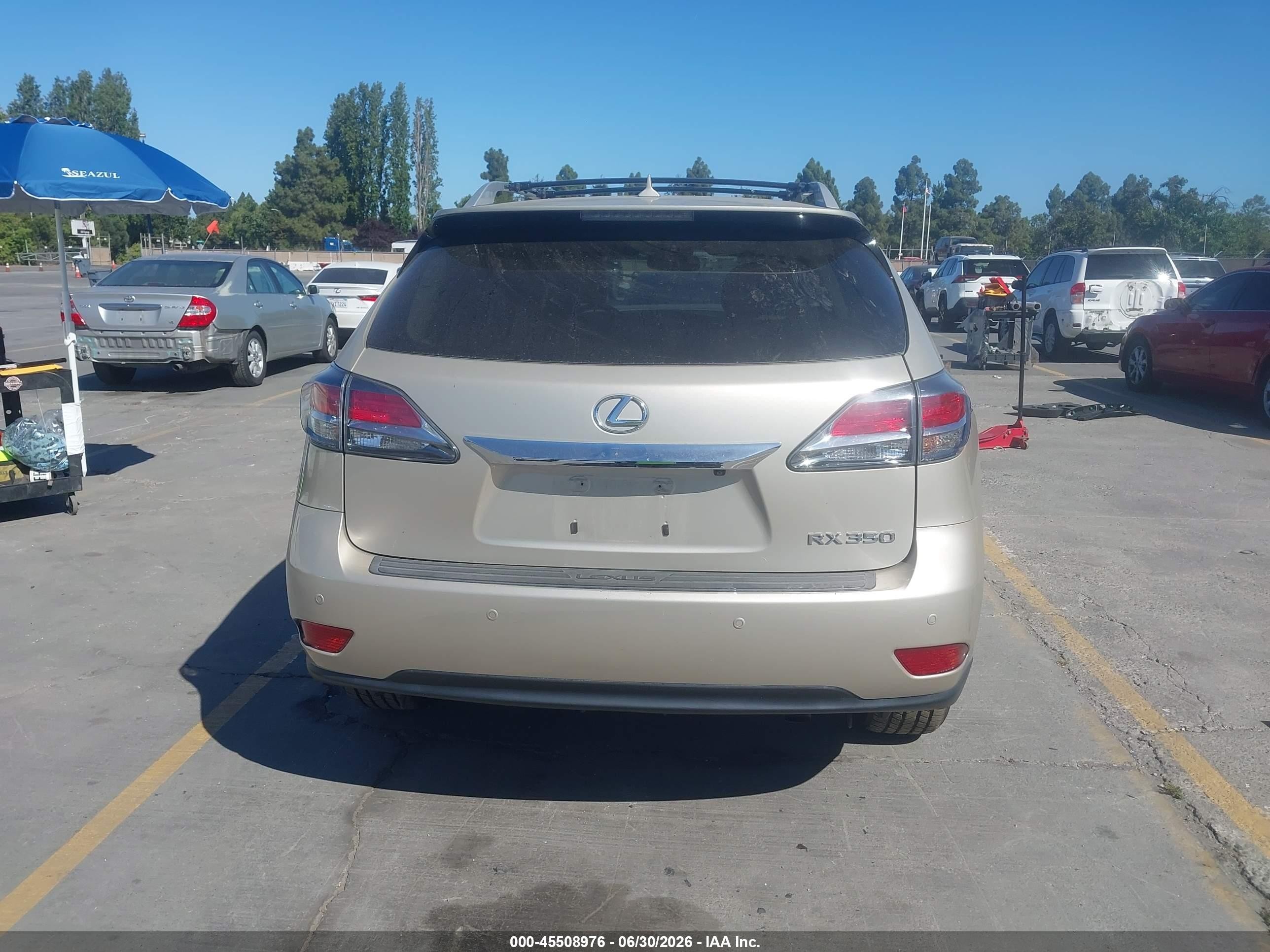 2013 Lexus Rx 350 Brown vin: 2T2BK1BA1DC201332