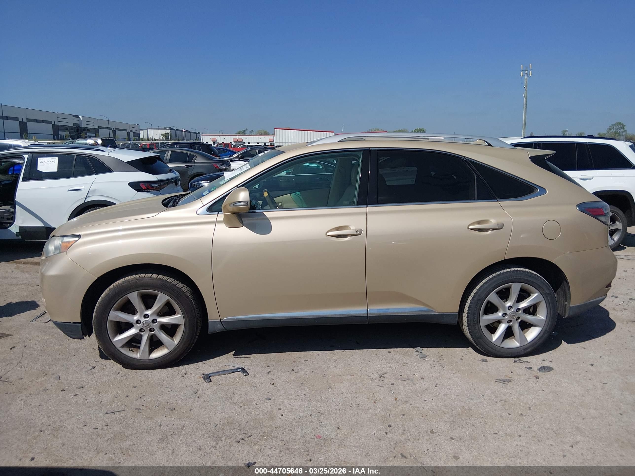 2010 Lexus Rx 350   Gold vin: 2T2BK1BA2AC063120