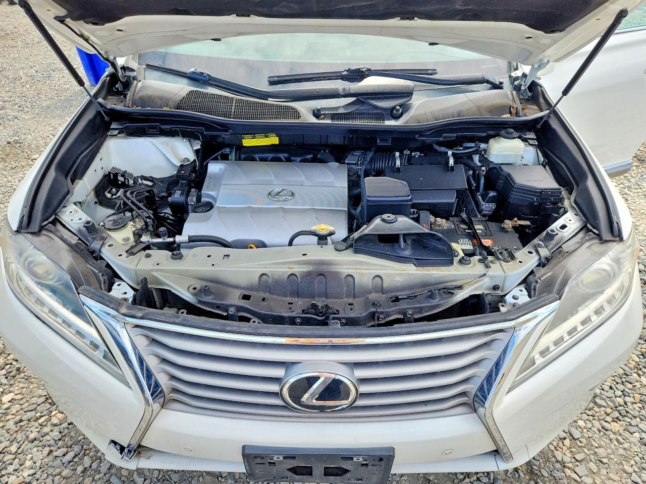 2015 Lexus Rx 350 Base White vin: 2T2BK1BA2FC335737
