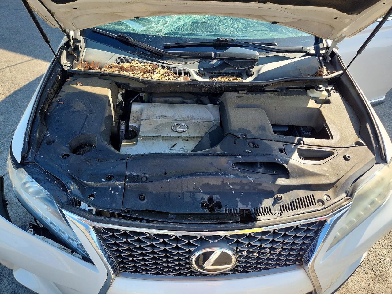 2013 Lexus Rx 350 F Sport White vin: 2T2BK1BA3DC196604