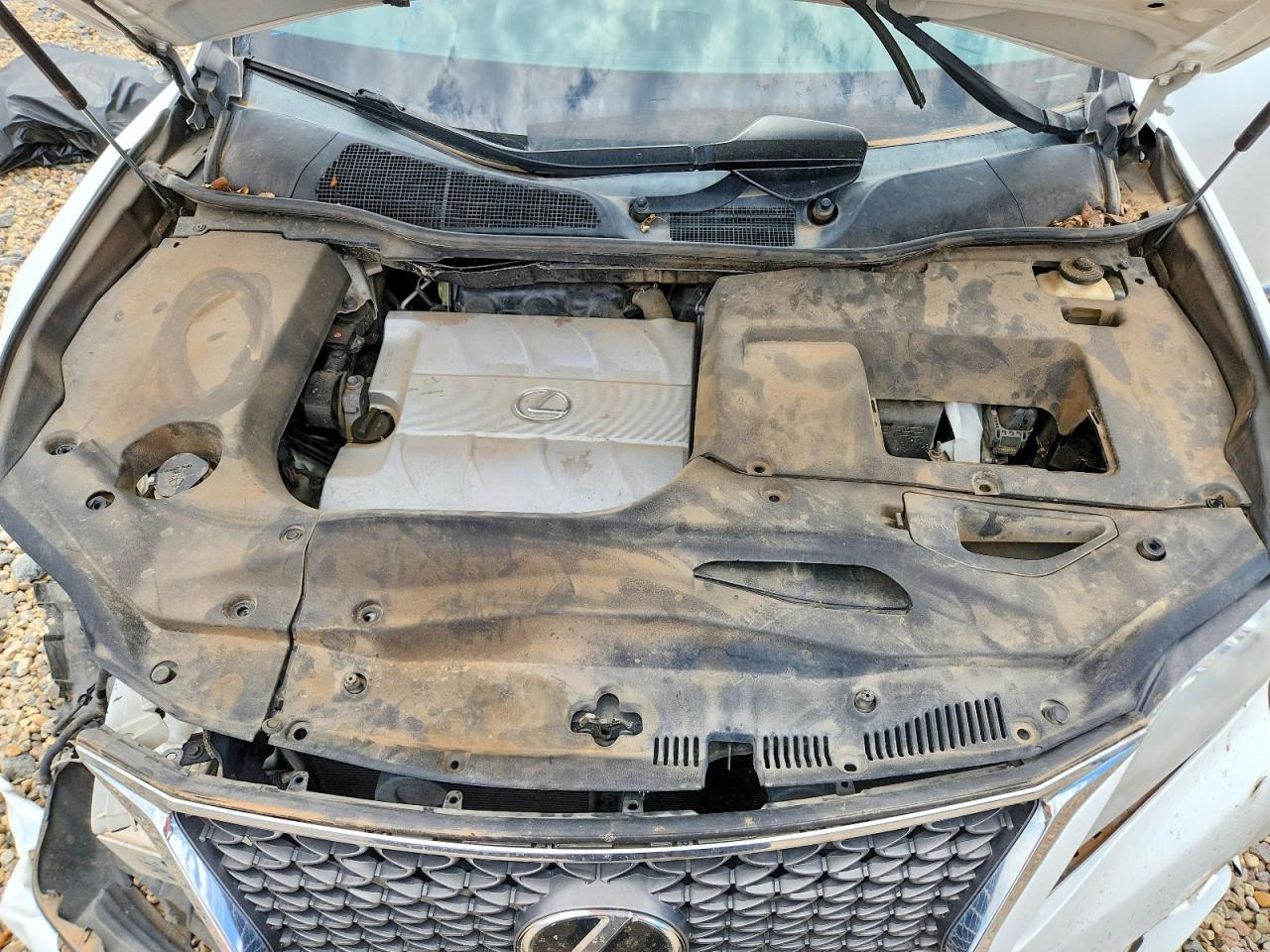 2015 Lexus Rx 350 F Sport White vin: 2T2BK1BA4FC342172