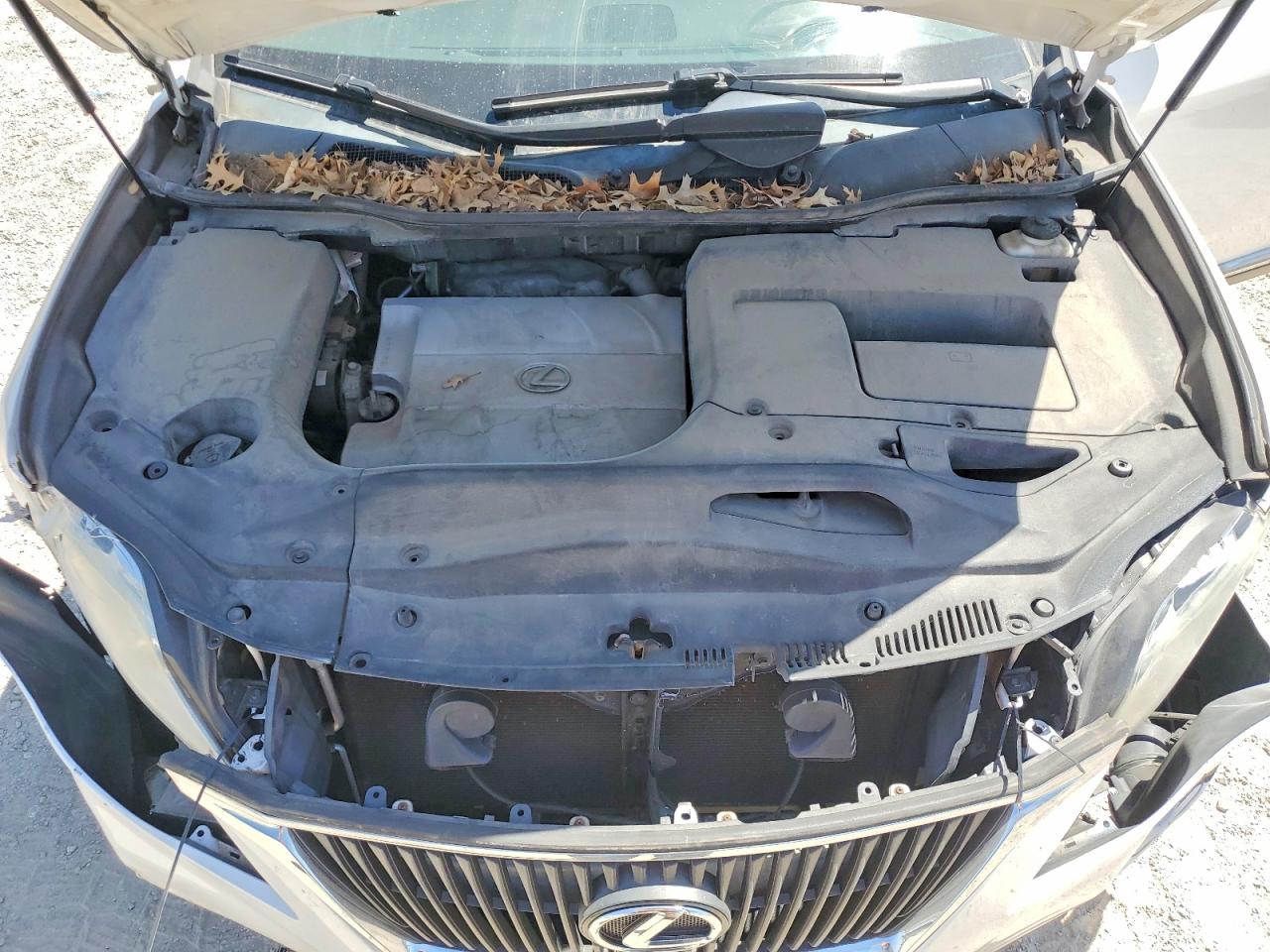 2012 Lexus Rx 350 White vin: 2T2BK1BA5CC134006