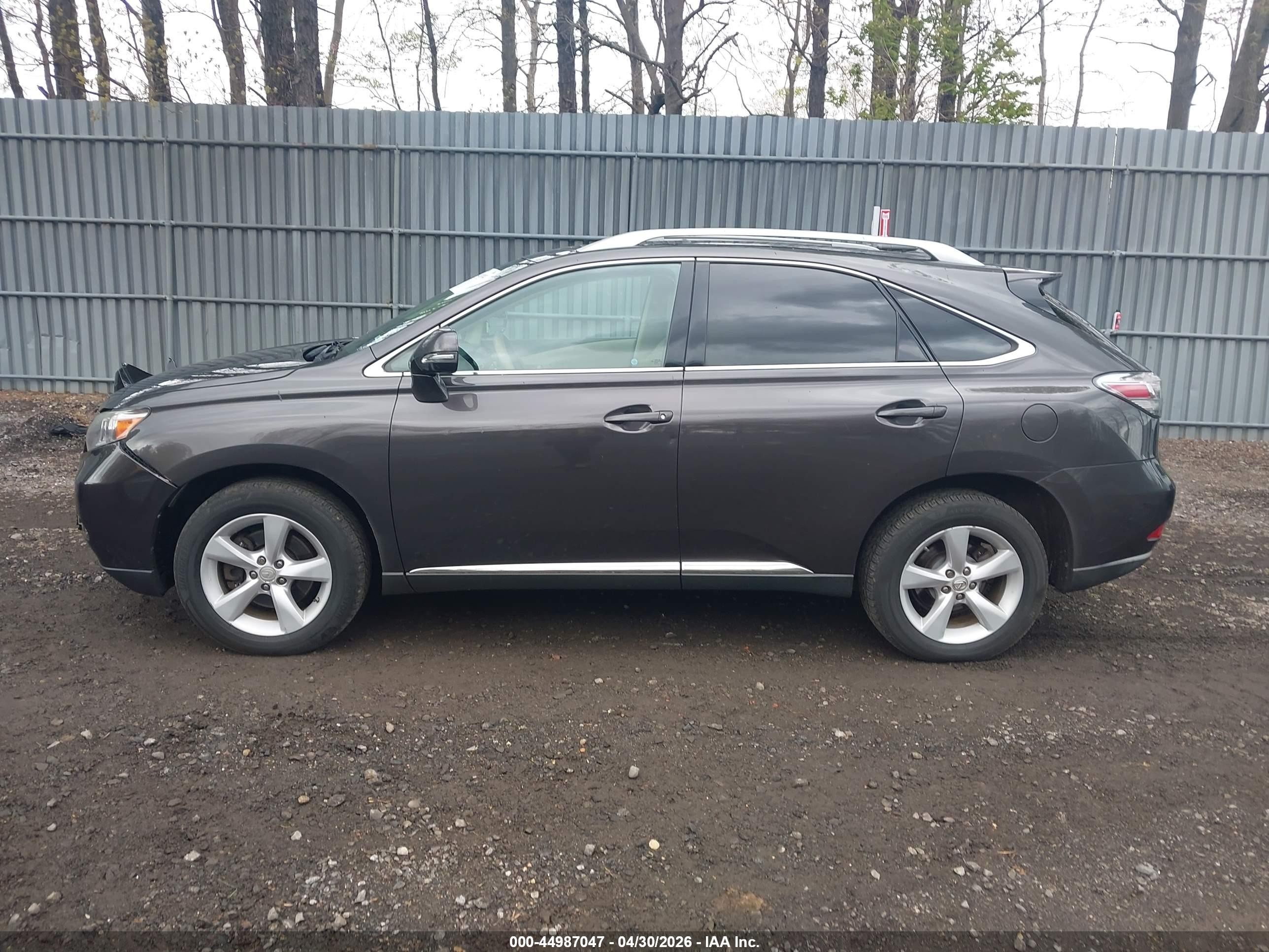 2010 Lexus Rx 350   Brown vin: 2T2BK1BA6AC035689