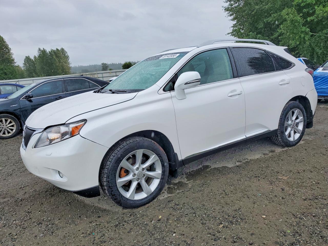 2010 Lexus Rx 350 White vin: 2T2BK1BA6AC066862