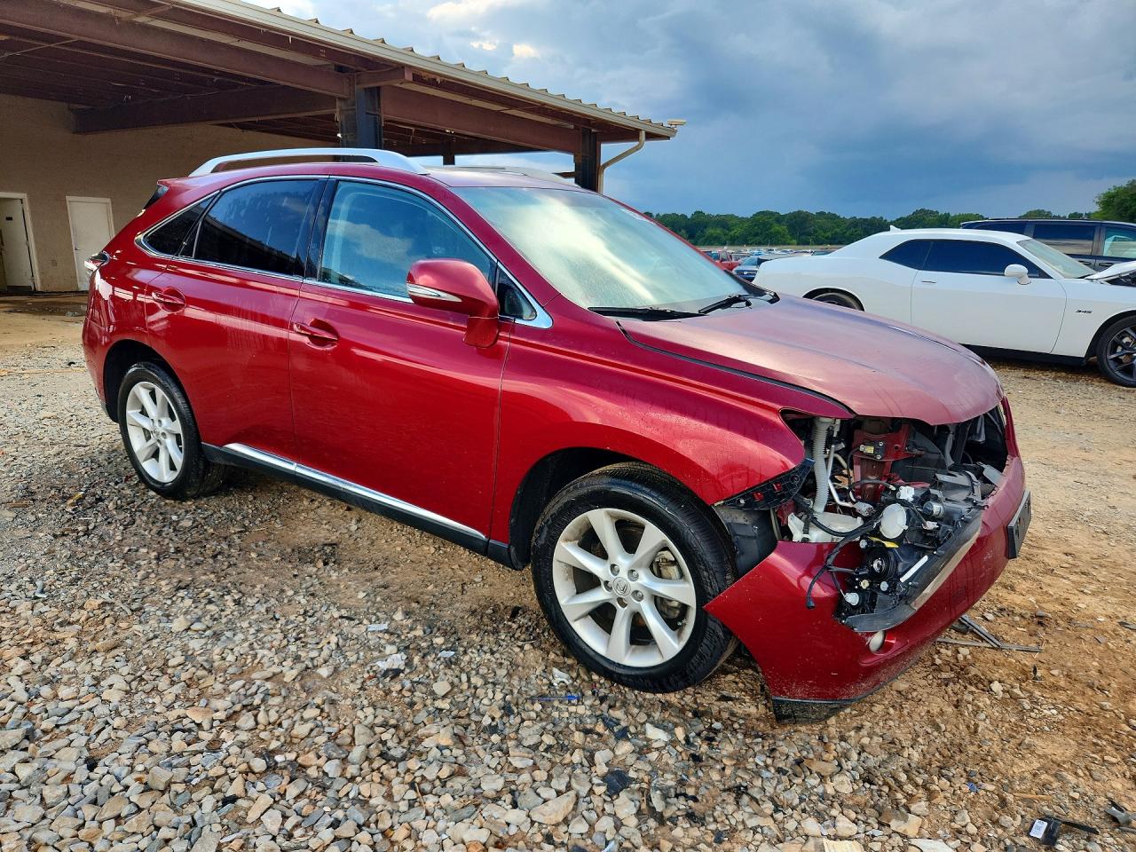 2012 Lexus Rx 350 Red vin: 2T2BK1BA6CC130059