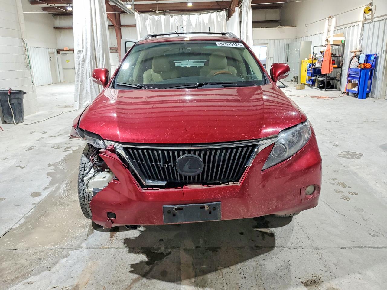 2010 Lexus Rx 350 Red vin: 2T2BK1BA7AC075361