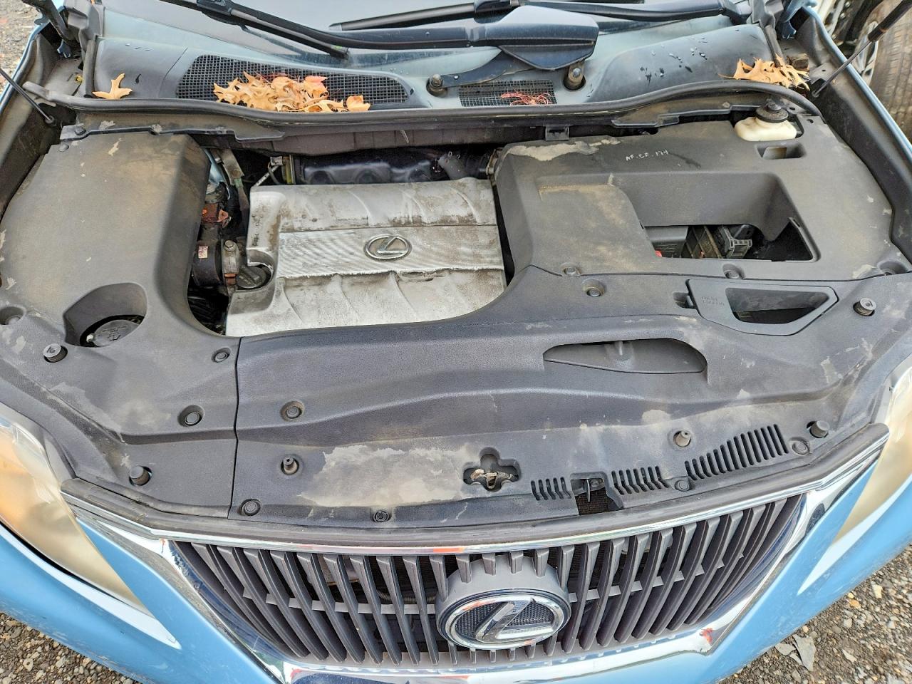 2010 Lexus Rx 350 Blue vin: 2T2BK1BA8AC043583