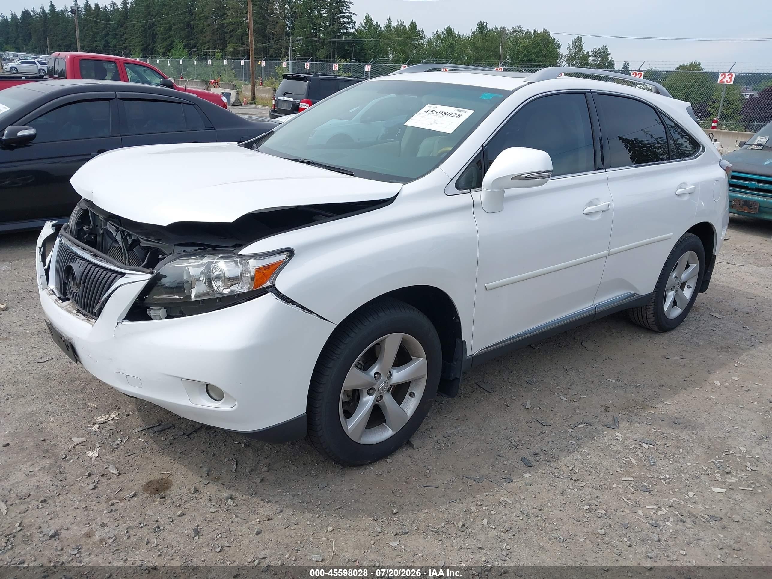 2010 Lexus Rx 350   White vin: 2T2BK1BA9AC023939