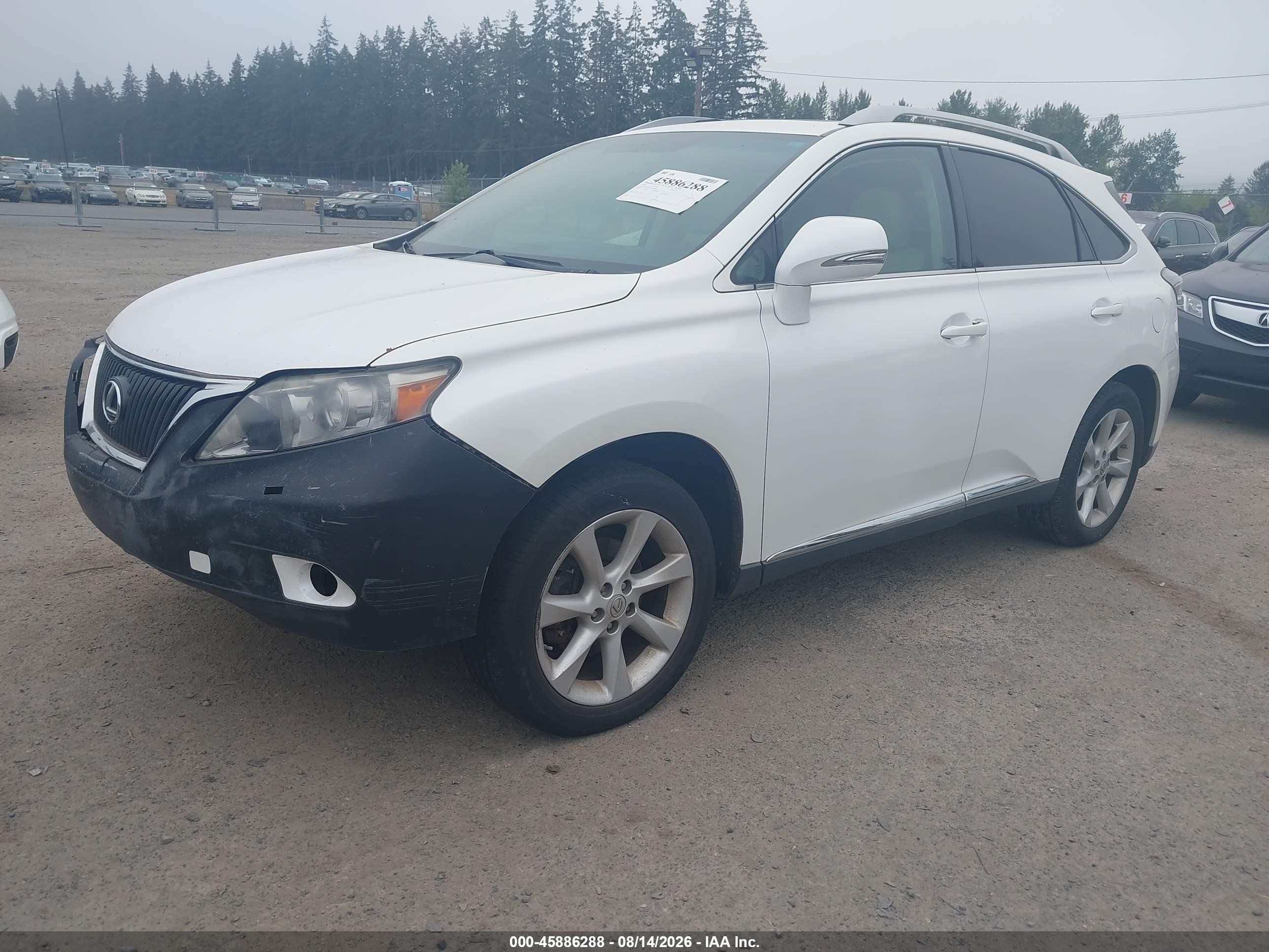 2010 Lexus Rx 350   White vin: 2T2BK1BAXAC002016
