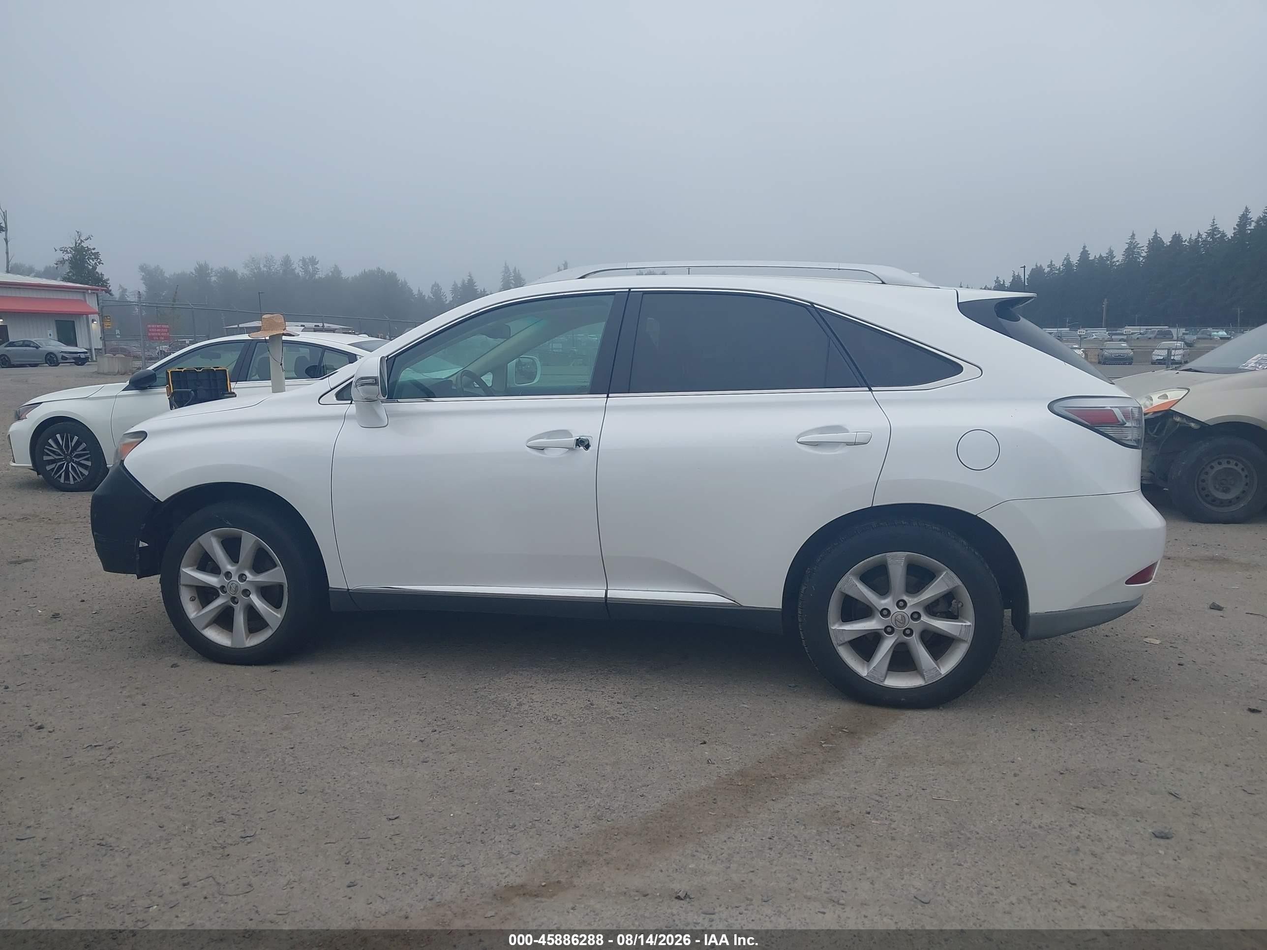 2010 Lexus Rx 350   White vin: 2T2BK1BAXAC002016