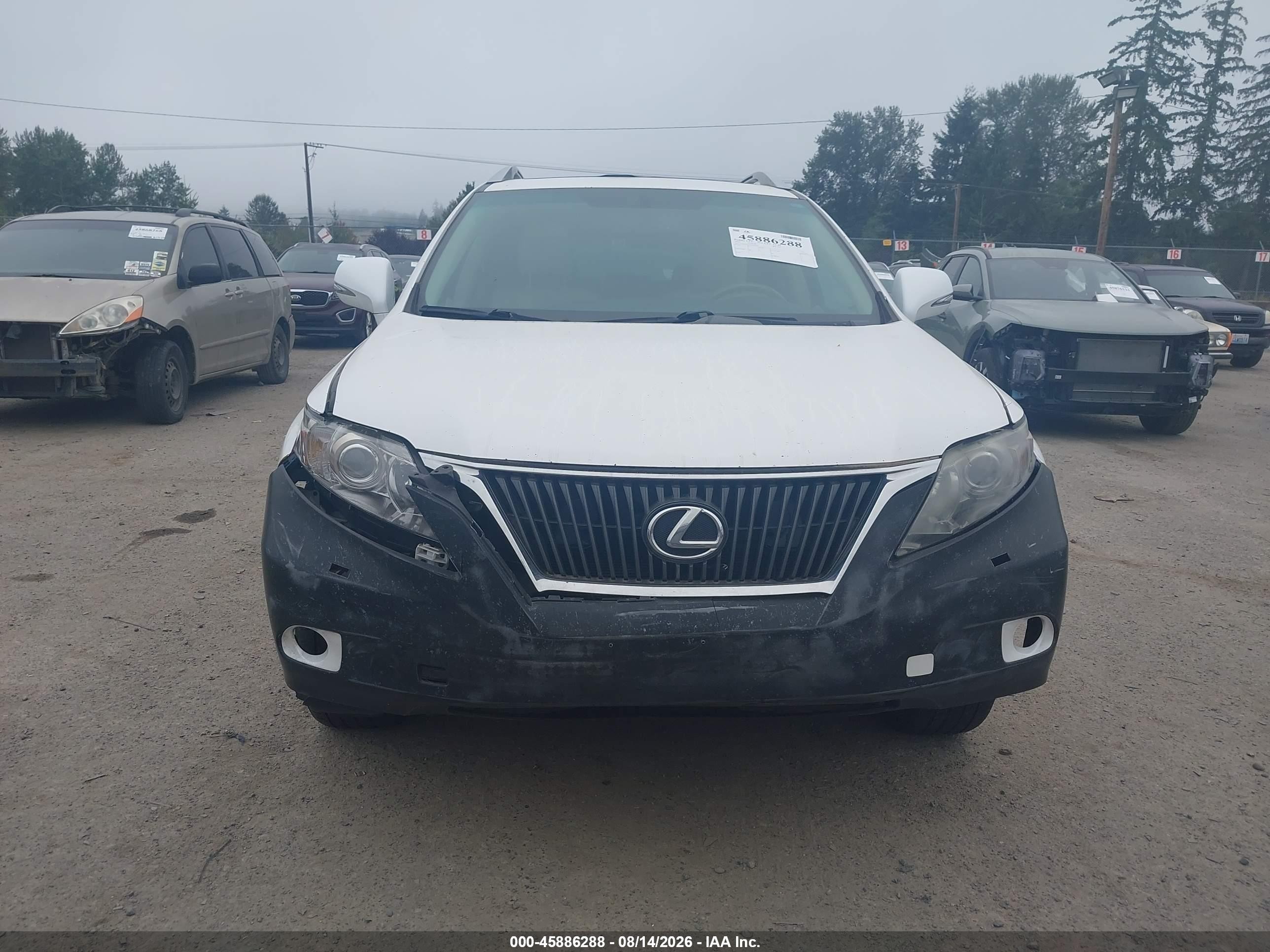 2010 Lexus Rx 350   White vin: 2T2BK1BAXAC002016