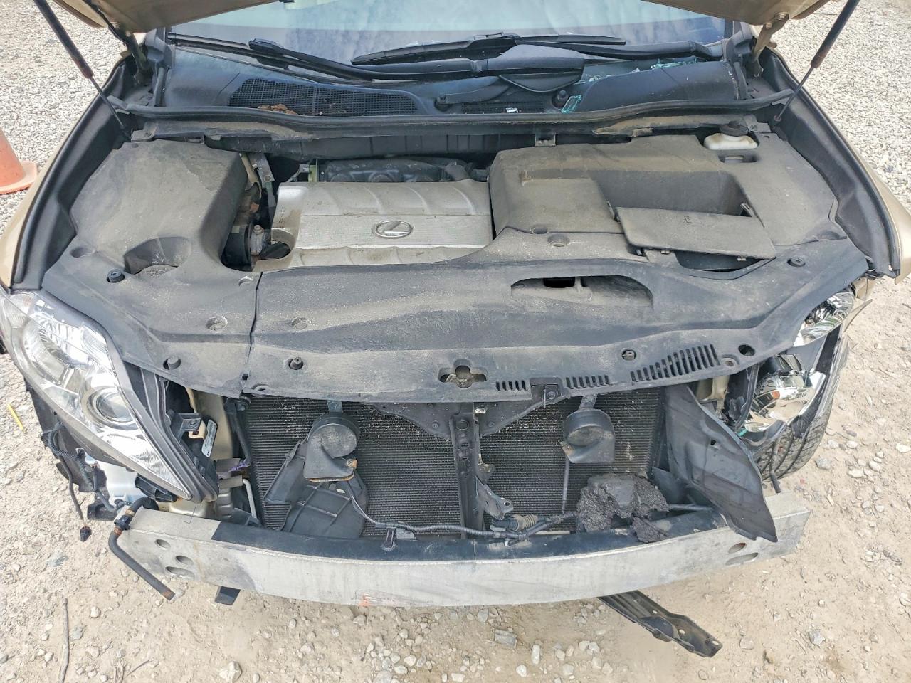 2010 Lexus Rx 350 Tan vin: 2T2BK1BAXAC031001