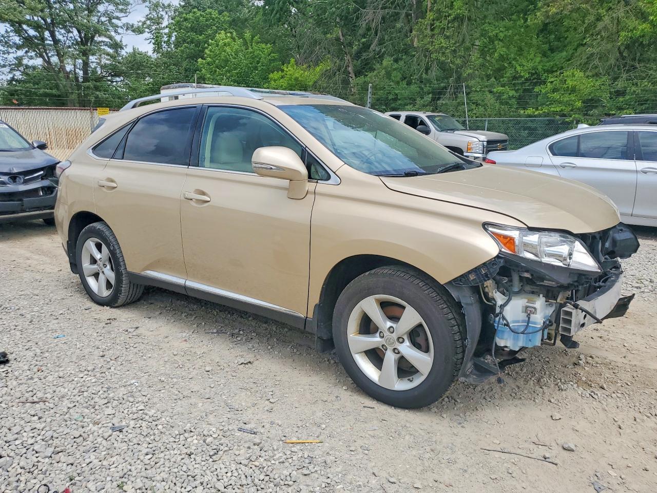 2010 Lexus Rx 350 Tan vin: 2T2BK1BAXAC031001