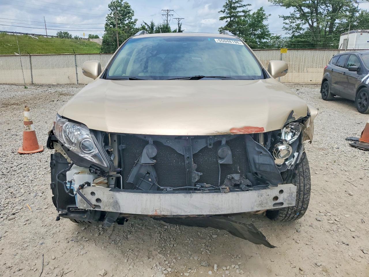 2010 Lexus Rx 350 Tan vin: 2T2BK1BAXAC031001