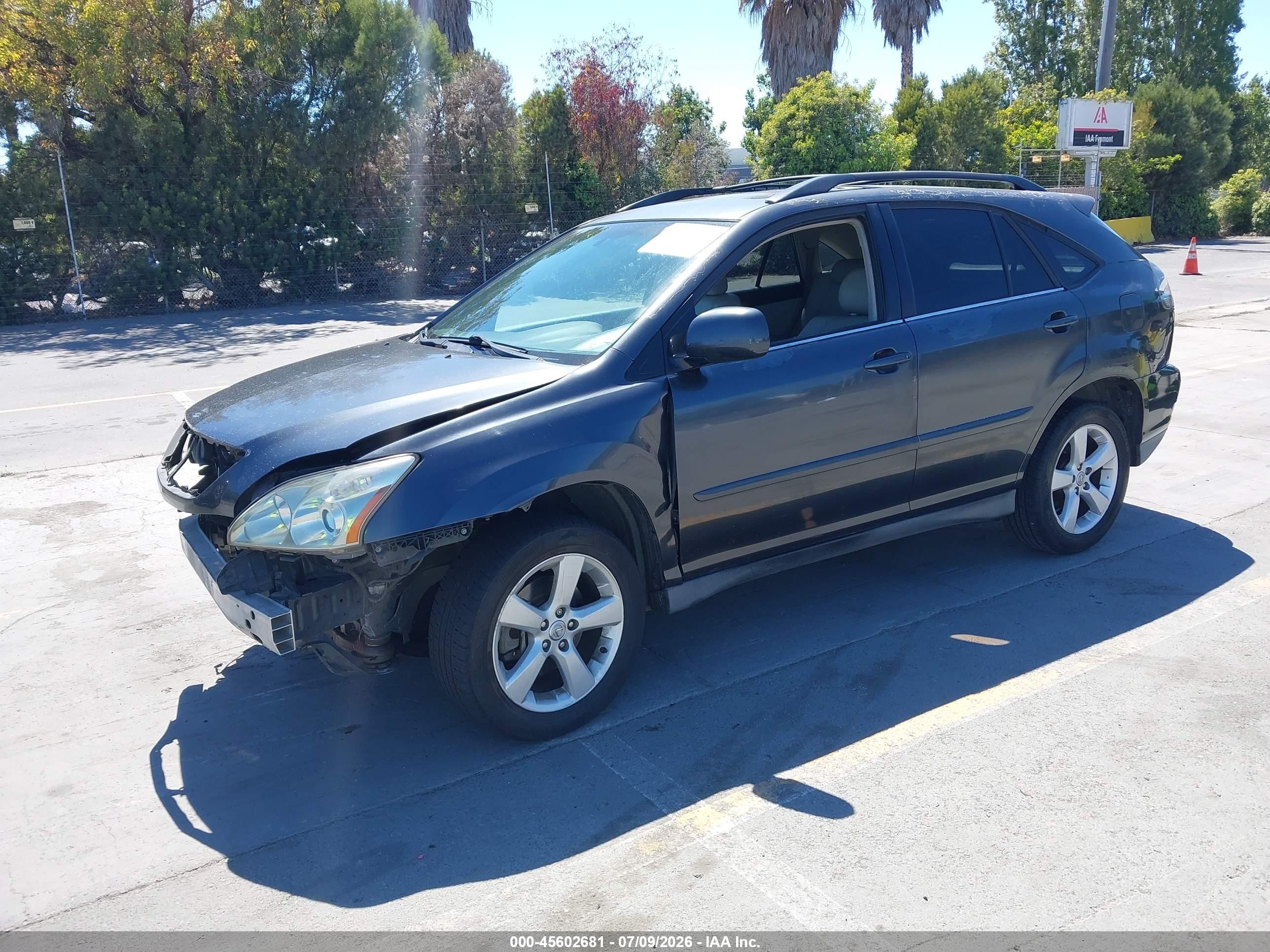 2004 Lexus Rx 330   Gray vin: 2T2GA31U34C006381