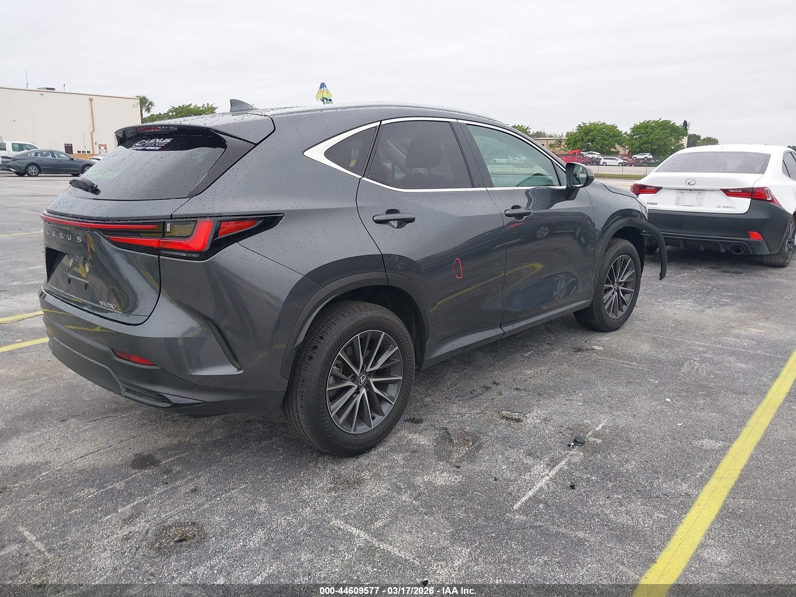 2025 Lexus Nx 250 Premium Серый vin: 2T2GDCAZ4SC029393