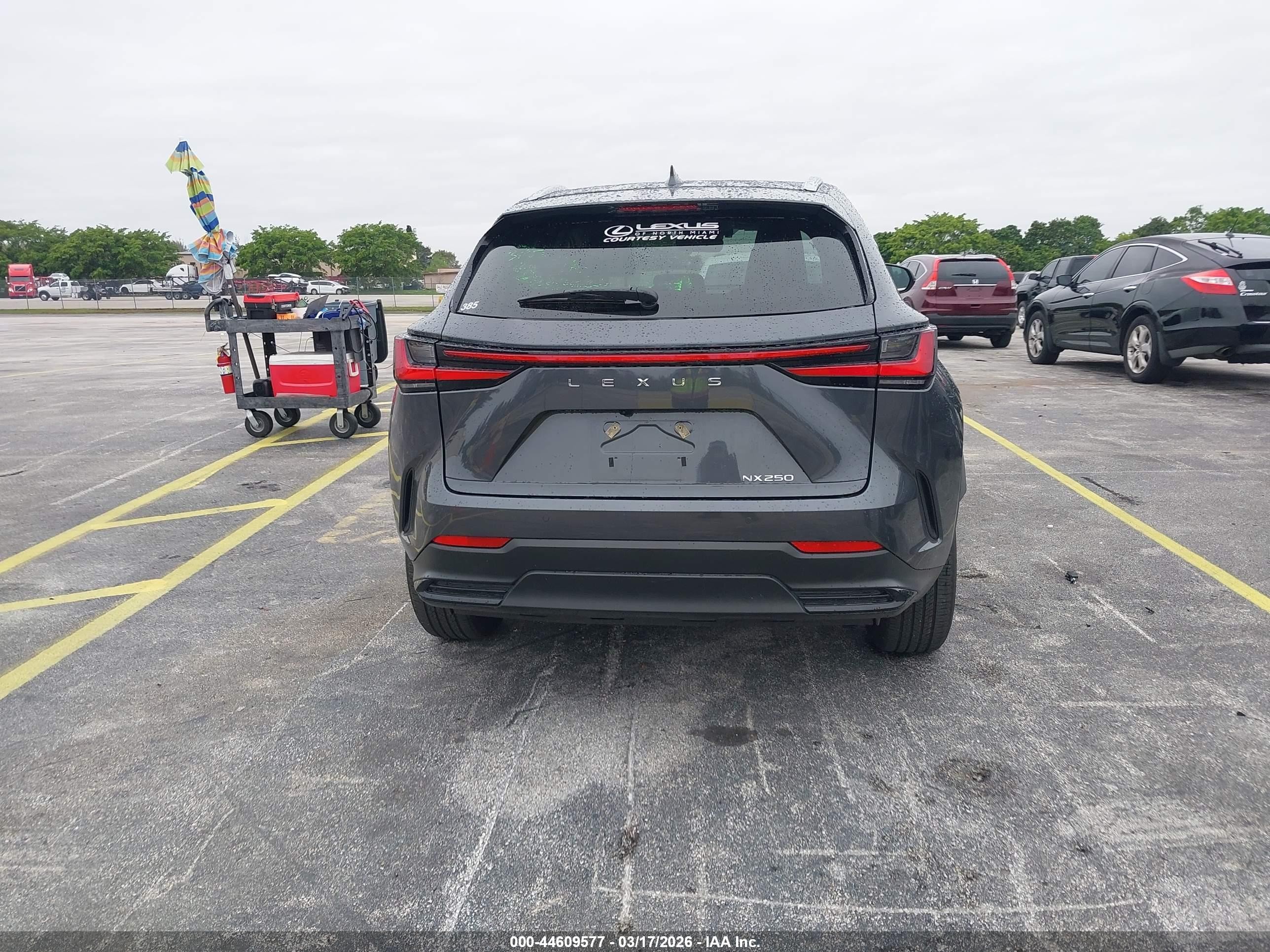 2025 Lexus Nx 250 Premium Серый vin: 2T2GDCAZ4SC029393
