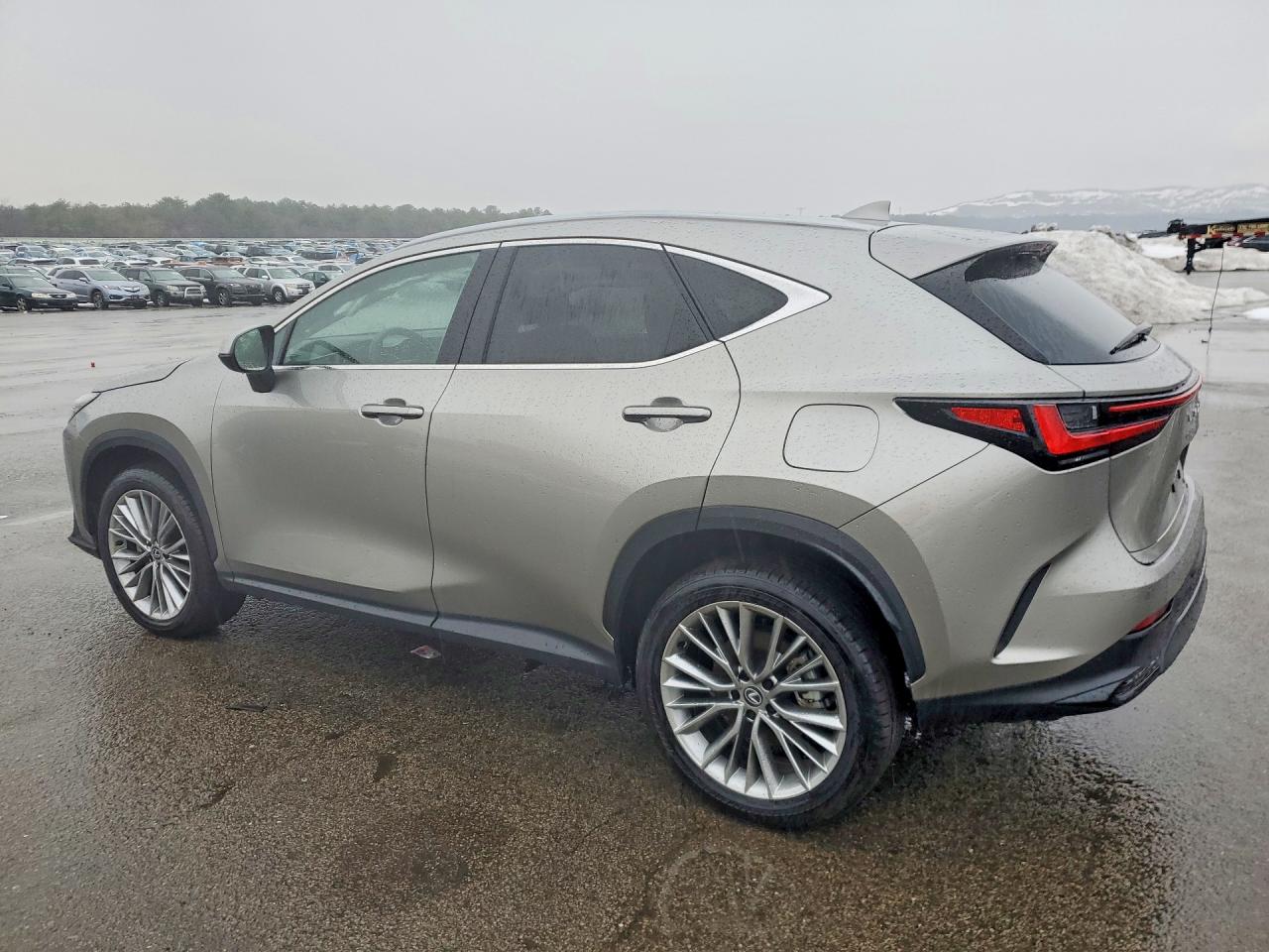 2025 Lexus Nx 350 Premium Gray vin: 2T2GGCEZ2SC081249