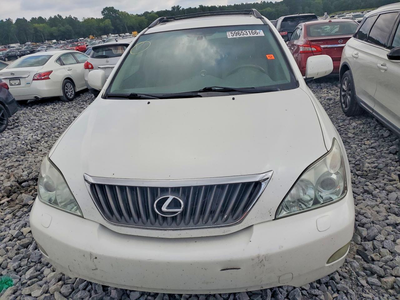 2009 Lexus Rx 350 White vin: 2T2GK31U09C063206