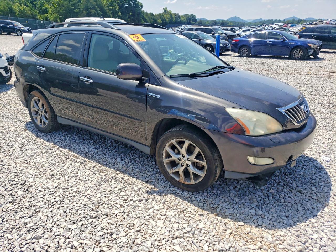 2009 Lexus Rx 350 Gray vin: 2T2GK31U09C068213