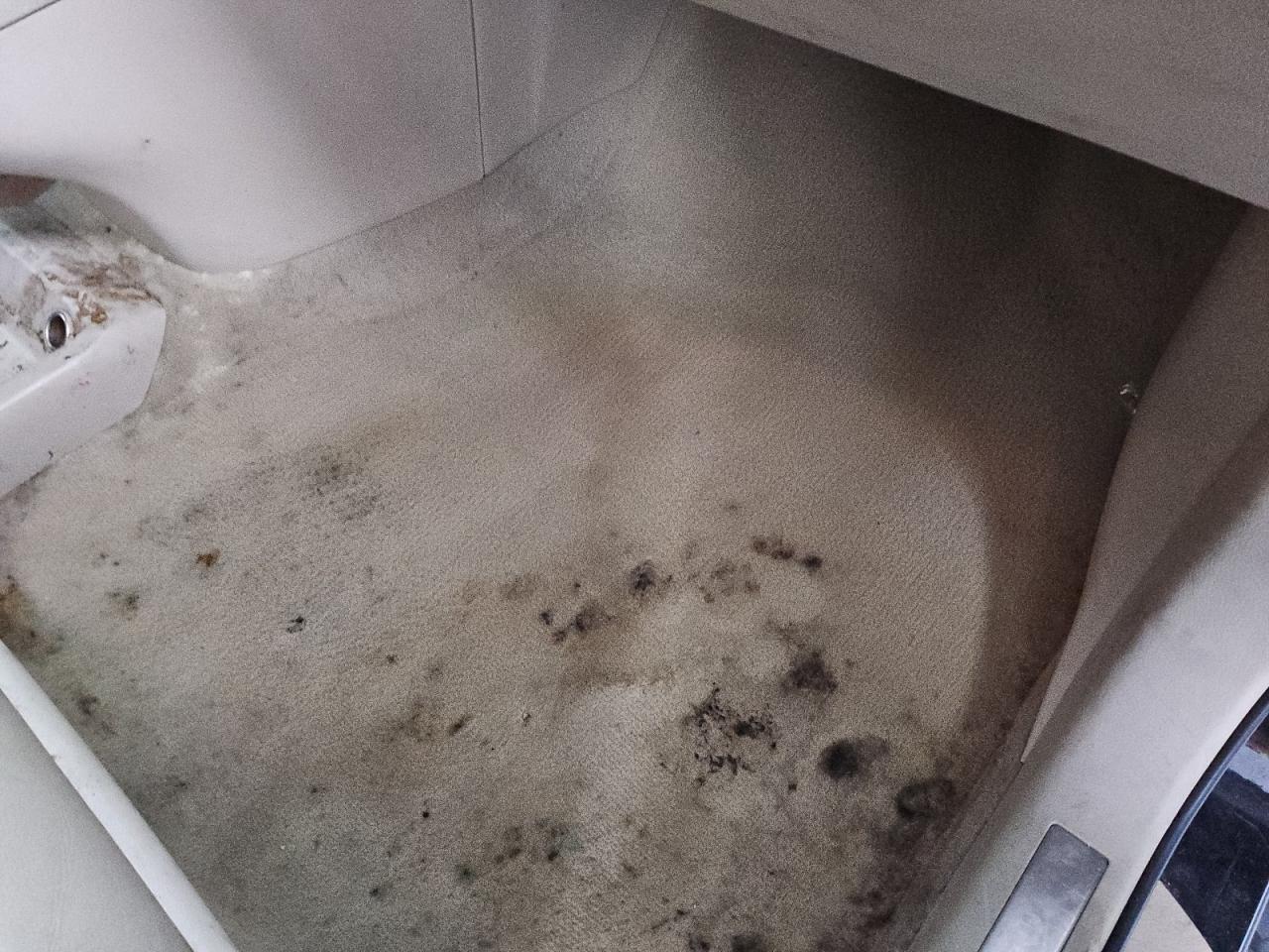2008 Lexus Rx 350 Black vin: 2T2GK31U48C052921 Damage: Right Front Carpet, Stained, Permanent