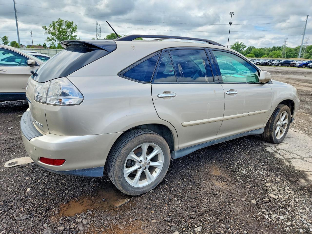 2008 Lexus Rx 350 Gold vin: 2T2GK31U98C044801