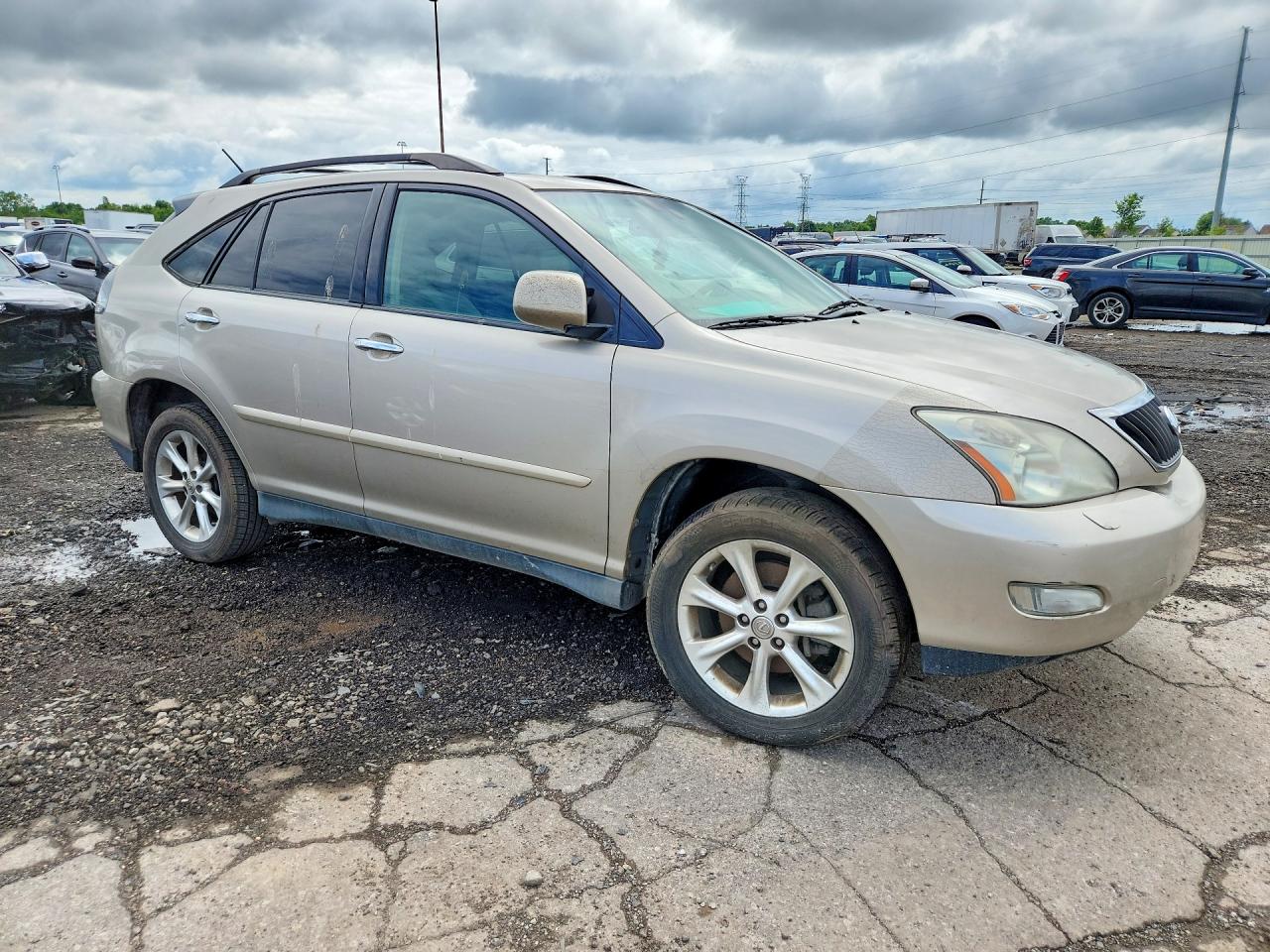2008 Lexus Rx 350 Gold vin: 2T2GK31U98C044801