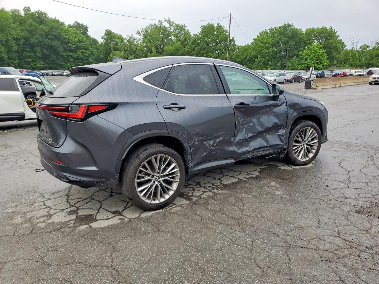2025 Lexus Nx 350h Premium Gray vin: 2T2GKCEZ2SC040182