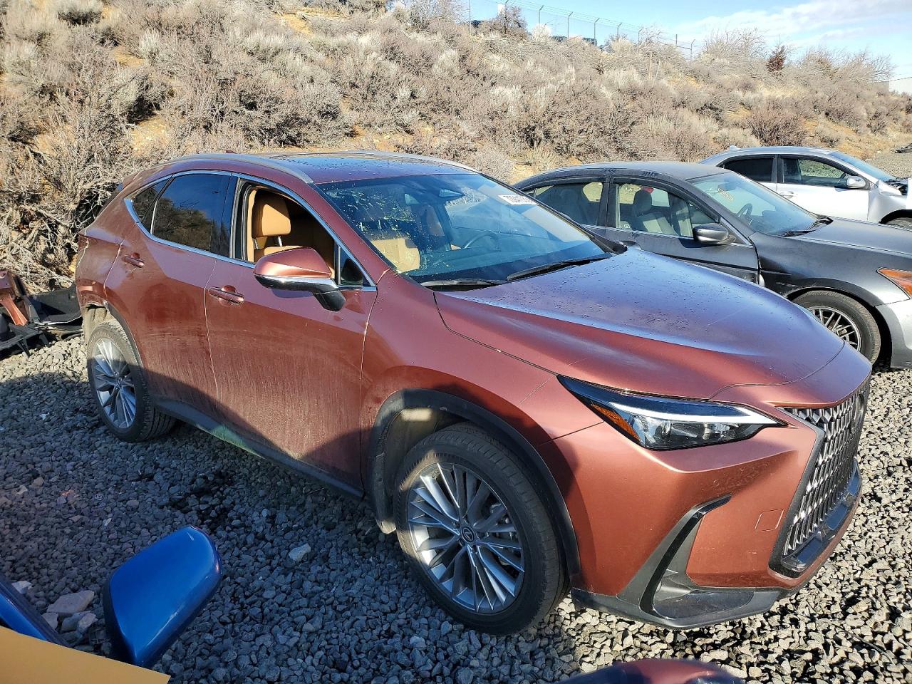 2025 Lexus Nx 350h Base Orange vin: 2T2GKCEZ9SC039675