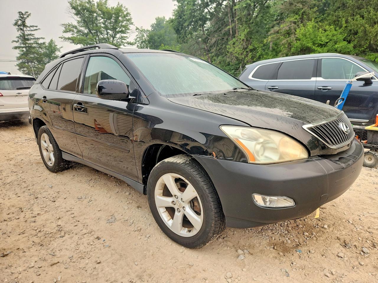 2004 Lexus Rx 330 Black vin: 2T2HA31U04C018346