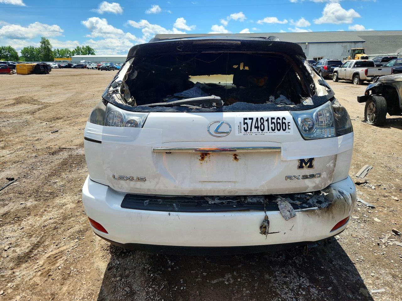 2004 Lexus Rx 330 Белый vin: 2T2HA31U34C015263