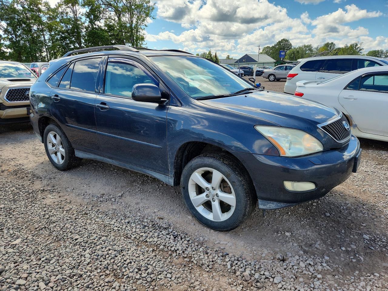 2004 Lexus Rx 330 Gray vin: 2T2HA31UX4C008245