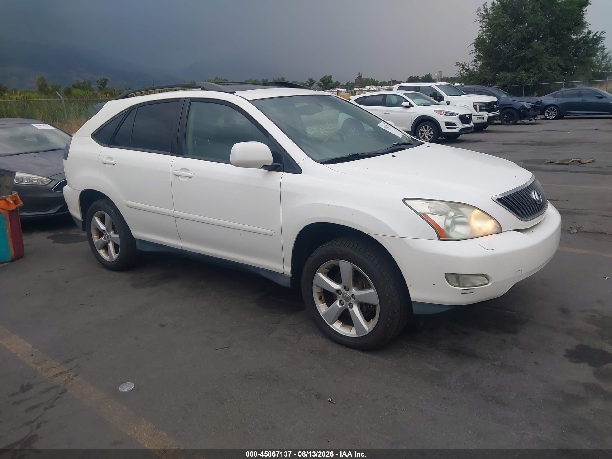 2004 Lexus Rx 330   Silver vin: 2T2HA31UX4C039012