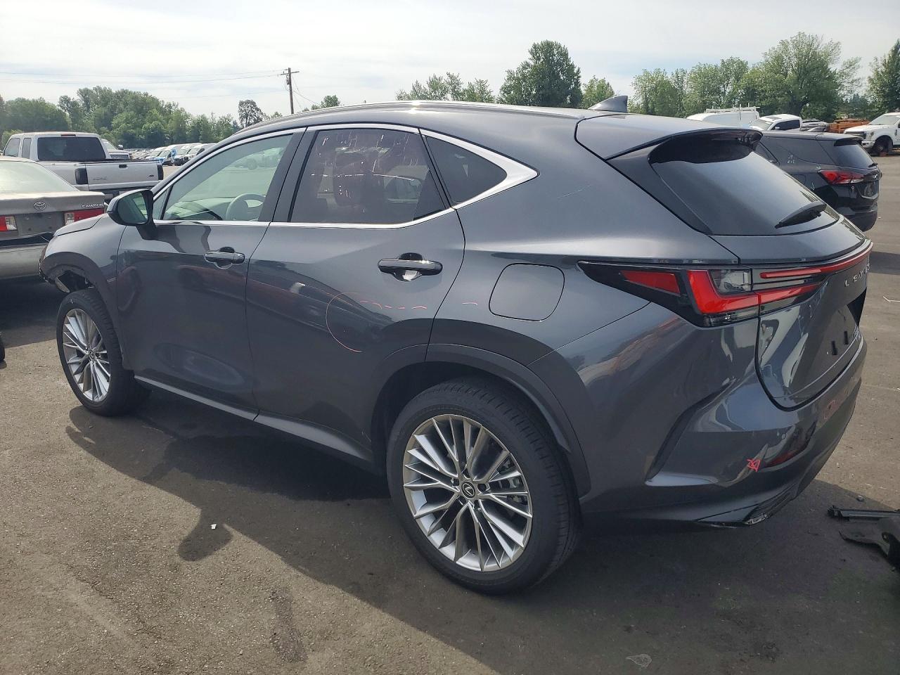 2024 Lexus Nx 350 Luxury Серый vin: 2T2HGCEZXRC035599