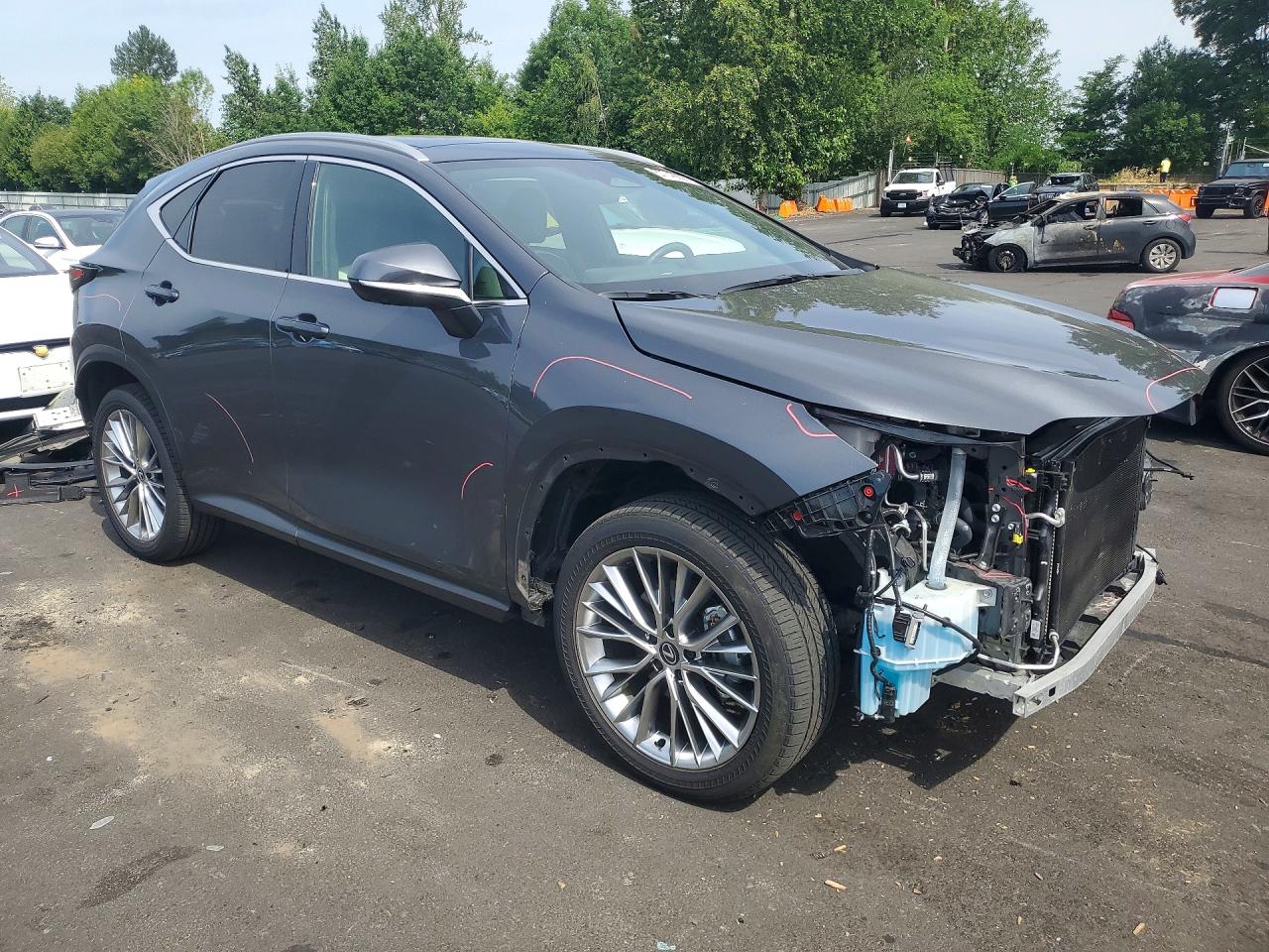 2024 Lexus Nx 350 Luxury Серый vin: 2T2HGCEZXRC035599