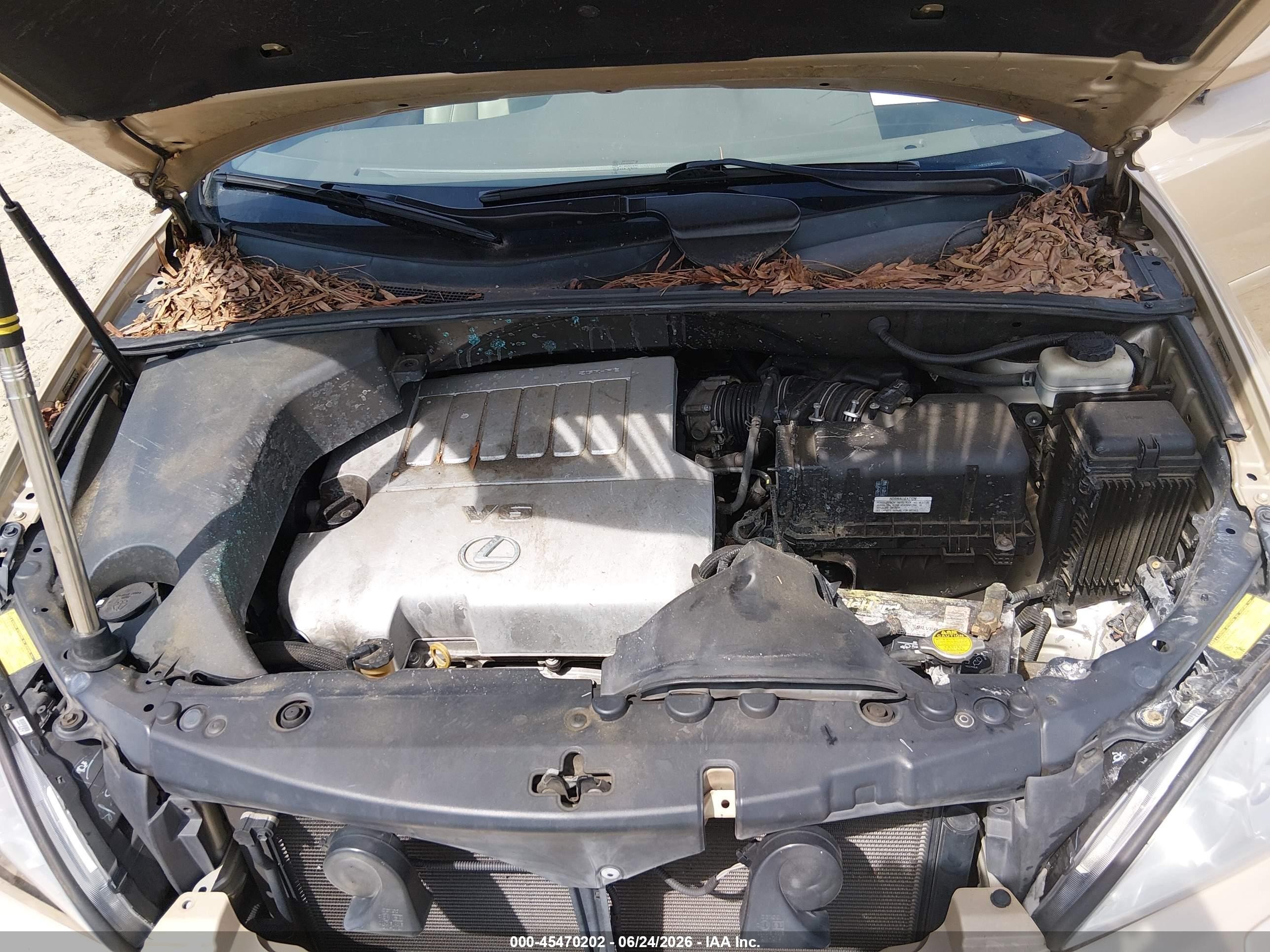 2009 Lexus Rx 350   Gold vin: 2T2HK31U09C109556