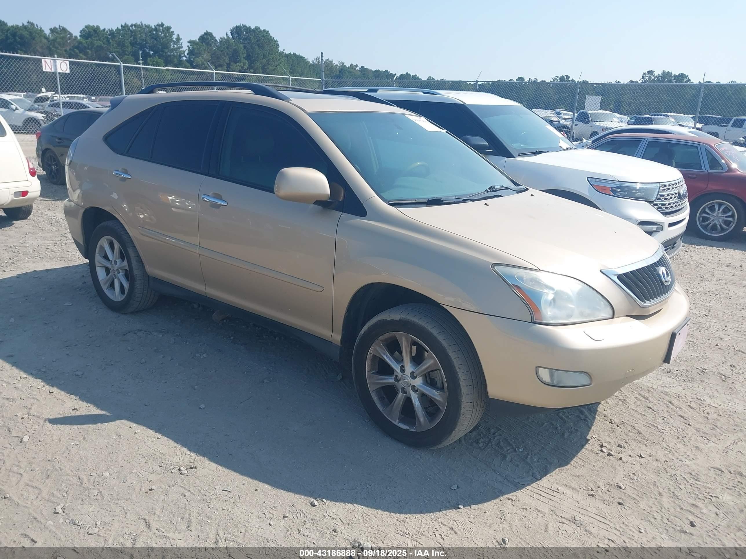 2009 Lexus Rx 350   Gold vin: 2T2HK31U39C124133