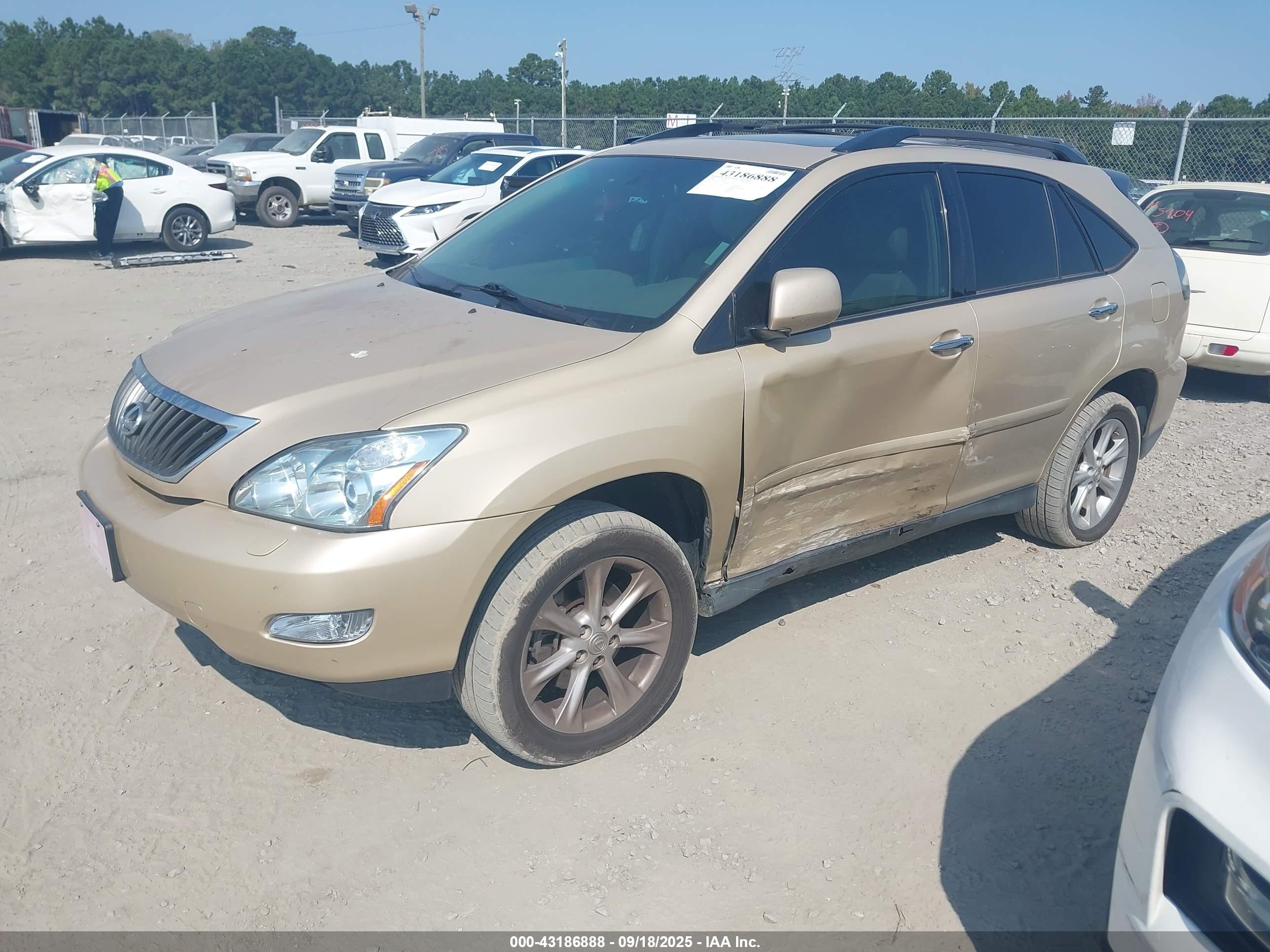 2009 Lexus Rx 350   Gold vin: 2T2HK31U39C124133