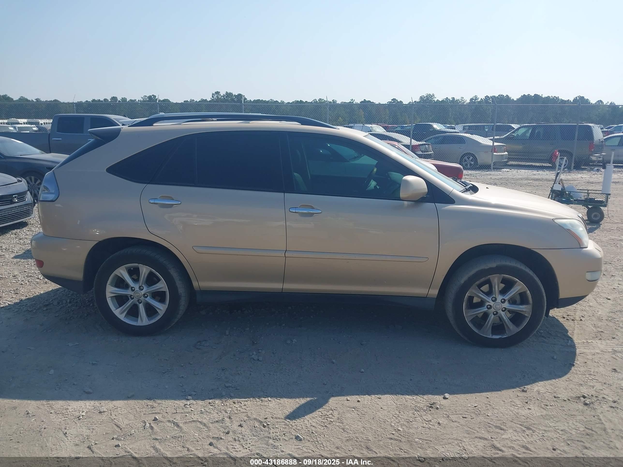 2009 Lexus Rx 350   Gold vin: 2T2HK31U39C124133